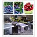 Automatische Blaubeersortiermaschine / Strawberry Sorting Weighting Packing Line